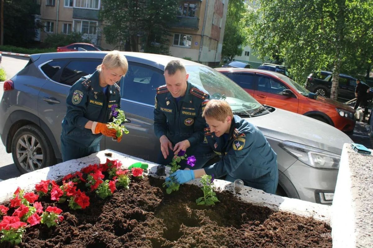 «Цветы России»: сотрудники регионального МЧС России благоустроили территорию ведомства «Цветы России»: сотрудники регионального МЧС России благоустроили территорию ведомства