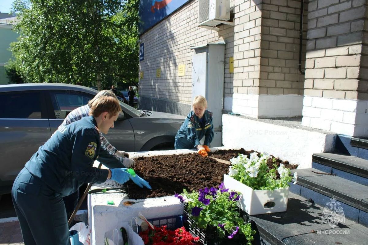 «Цветы России»: сотрудники регионального МЧС России благоустроили территорию ведомства «Цветы России»: сотрудники регионального МЧС России благоустроили территорию ведомства