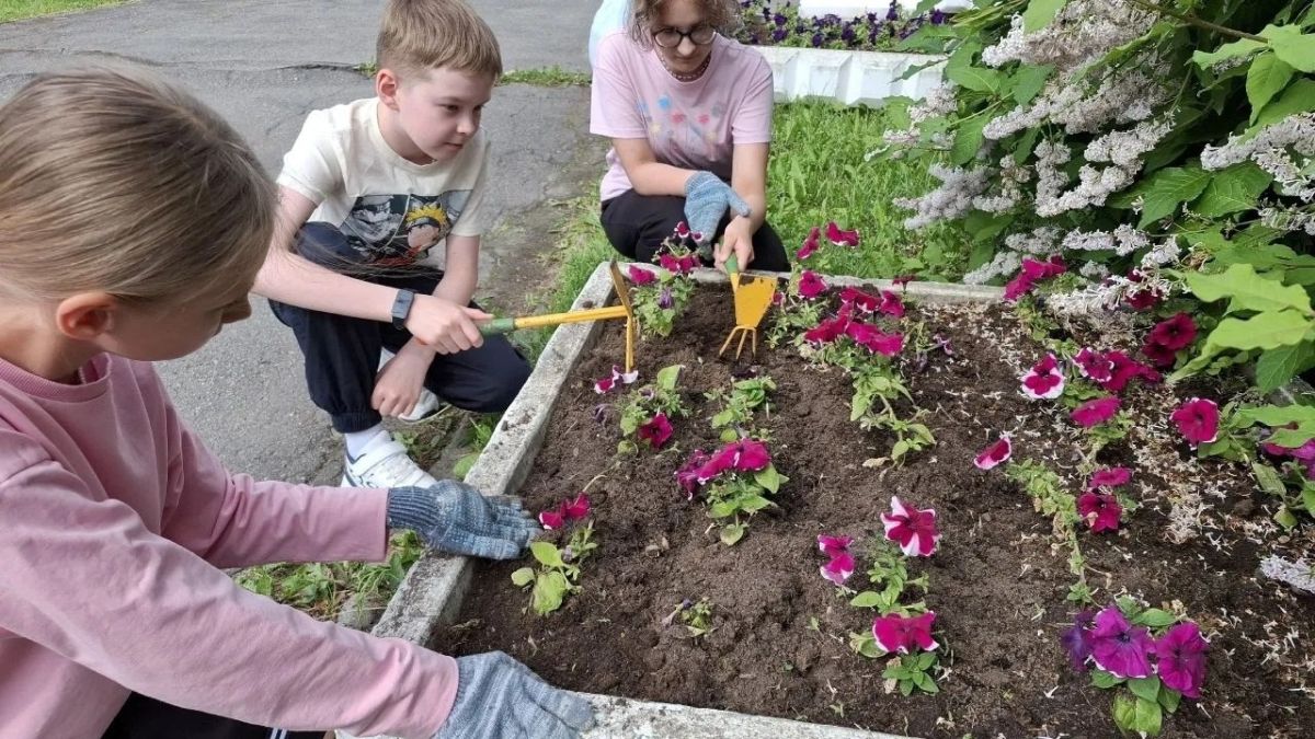 В Архангельске — цветочный бум! В Архангельске — цветочный бум!
