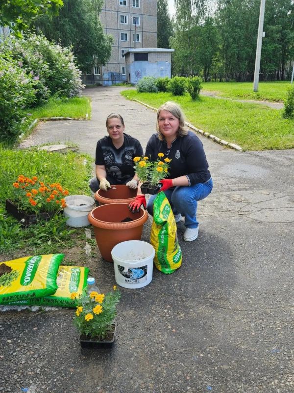 В Архангельске — цветочный бум! В Архангельске — цветочный бум!