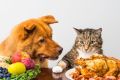 Вегетарианские корма для домашних животных: утопия или необходимость?