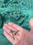 В Архангельске неизвестные повредили макет старого Архангельска