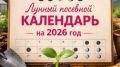 Как правильно посеять 27 культур в марте: советы по неделям
