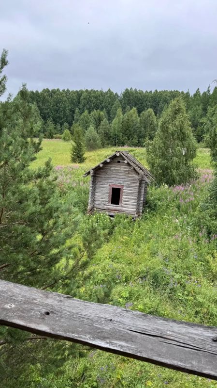 Последний дом-богатырь заброшенной деревни Смутово в Пинежском округе Последний дом-богатырь заброшенной деревни Смутово в Пинежском округе
