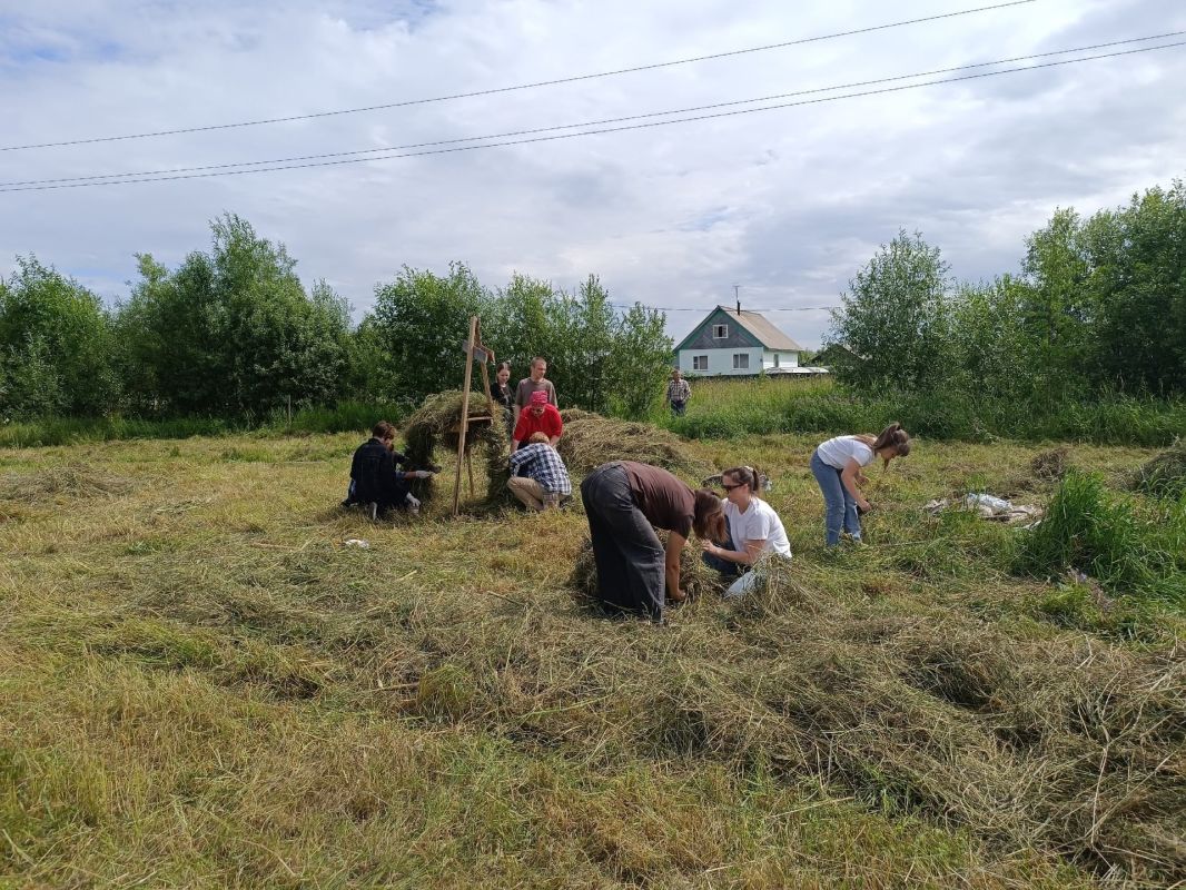 Представьте: аромат свежего сена, тёплое солнце, звонкий смех и творческий азарт Представьте: аромат свежего сена, тёплое солнце, звонкий смех и творческий азарт