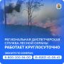 Будьте осторожны! В выходные в Поморье прогнозируется теплая и солнечная погода, а это повышает вероятность возгораний на землях лесного фонда
