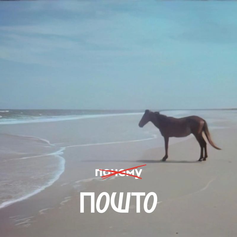 Пошто говоришь «почему», если можно — «пошто»?