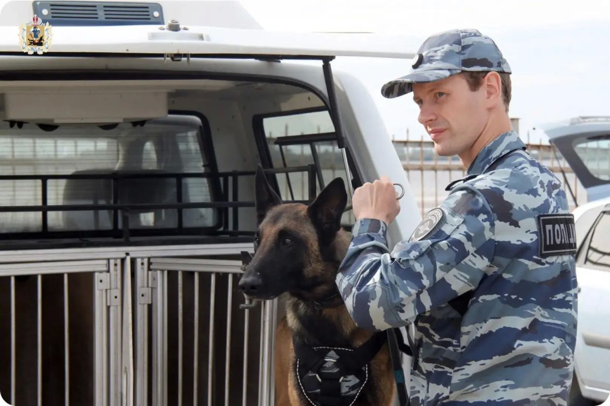 Инспектор региональной кинологической службы УМВД России Олег Хабаров стал вторым на всероссийском конкурсе профессионального мастерства