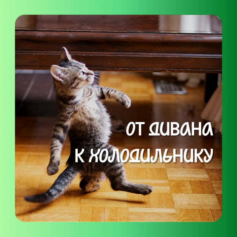 Лето создано для прогулок! Лето создано для прогулок!