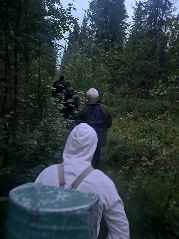 Спасатели вывели из леса заблудившегося пенсионера