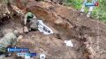 Поисковики Поморья нашли в Карелии захоронение 51 бойца