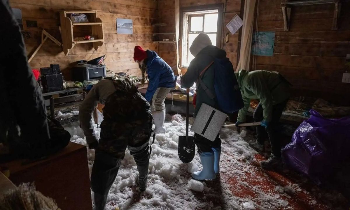 Белые медведи устроили погром в доме на острове Гукера