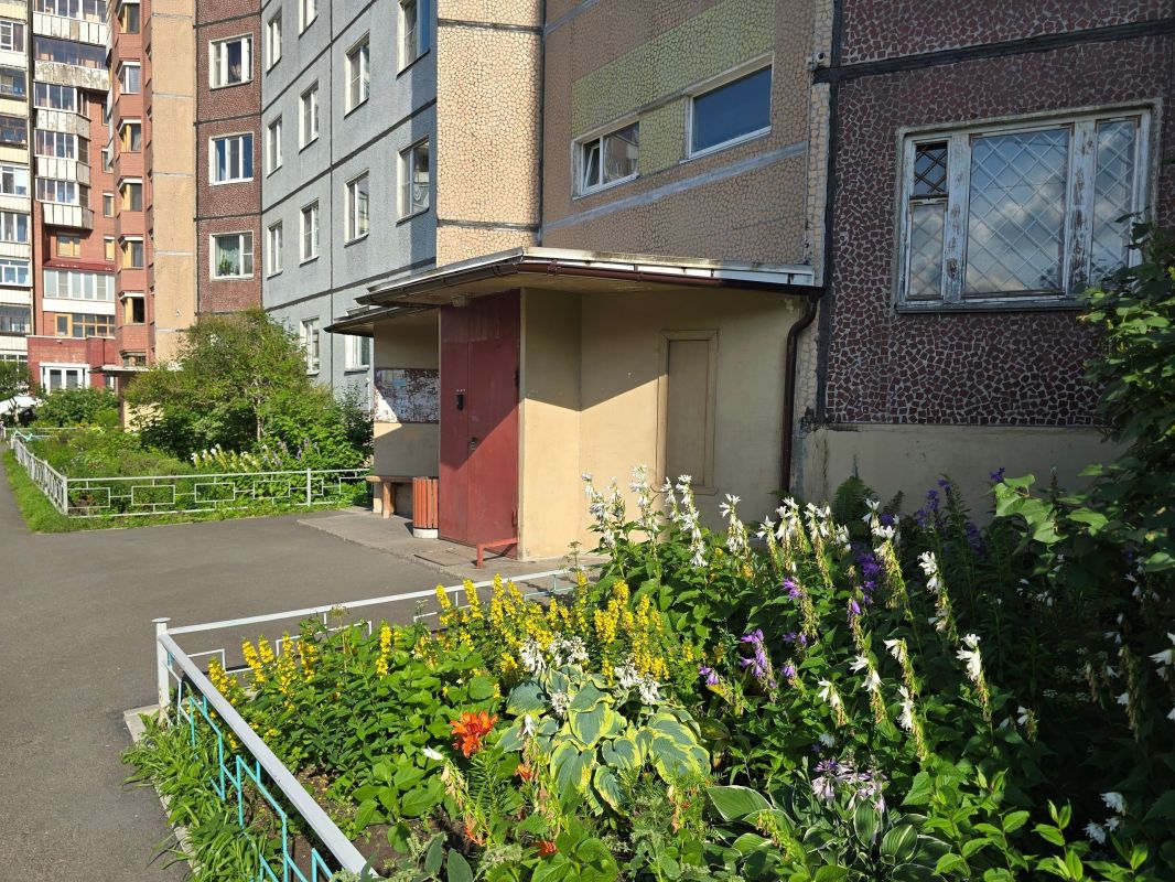 Знакомьтесь! Призер конкурса "Лучший архангельский дворик" Знакомьтесь! Призер конкурса "Лучший архангельский дворик"