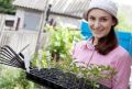 Секреты домашних стимуляторов для крепкого роста семян