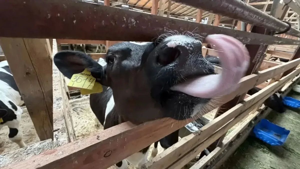 Председатель Ассоциации «Совет муниципальных образований Архангельской области» Игорь Арсентьев побывал в Няндомском округе Председатель Ассоциации «Совет муниципальных образований Архангельской области» Игорь Арсентьев побывал в Няндомском округе