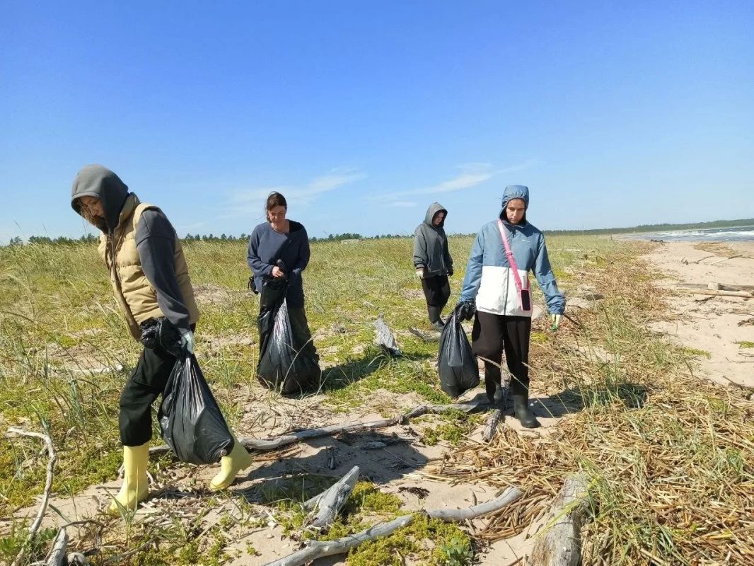 На Летнем берегу мусора больше, чем на Онежском На Летнем берегу мусора больше, чем на Онежском