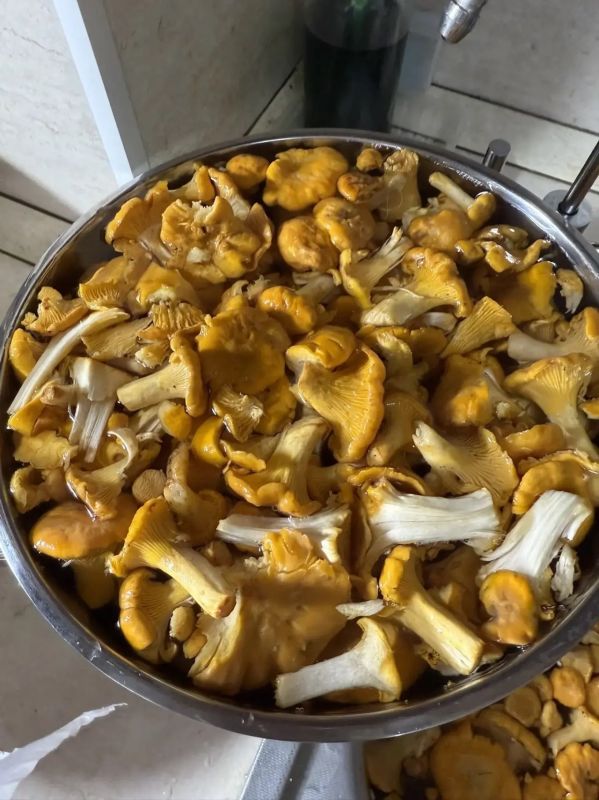 Варенье, соленья, компоты - вкусные и полезные «приветы» июля Варенье, соленья, компоты - вкусные и полезные «приветы» июля