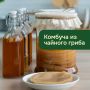 Пять креативных рецептов для домашней комбучи