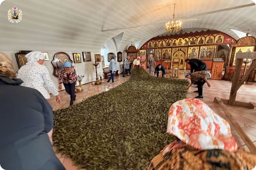 Холмогорские волонтеры продолжают оказывать помощь участникам СВО и их семьям Холмогорские волонтеры продолжают оказывать помощь участникам СВО и их семьям