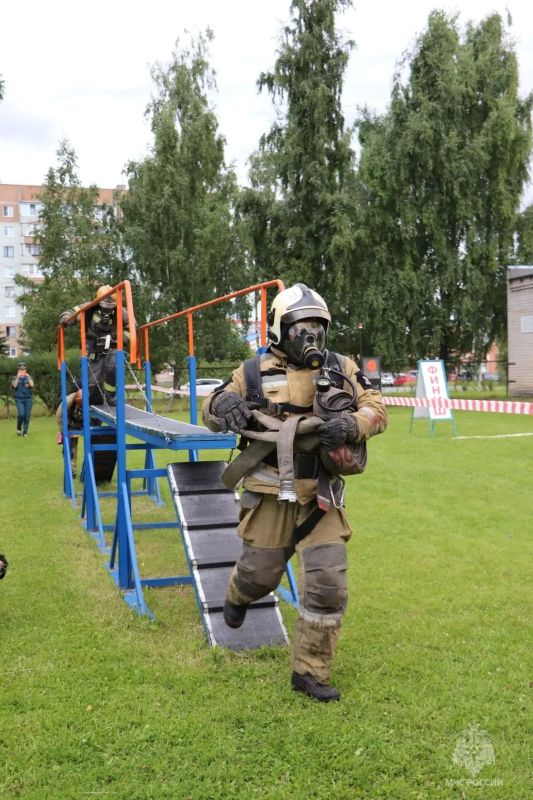 Архангельская область — в тройке сильнейших! Архангельская область — в тройке сильнейших!