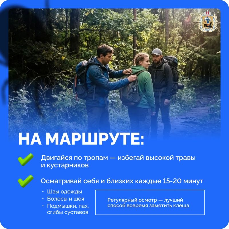 Прогулки на природе — это отличный отдых, но только если вы знаете правила безопасности Прогулки на природе — это отличный отдых, но только если вы знаете правила безопасности