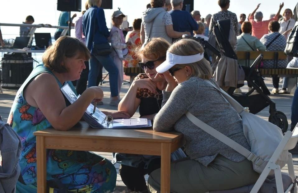 Лето и музыка в Онежском округе Лето и музыка в Онежском округе