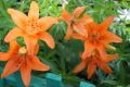 ������ ����! ������� �� 28 ����