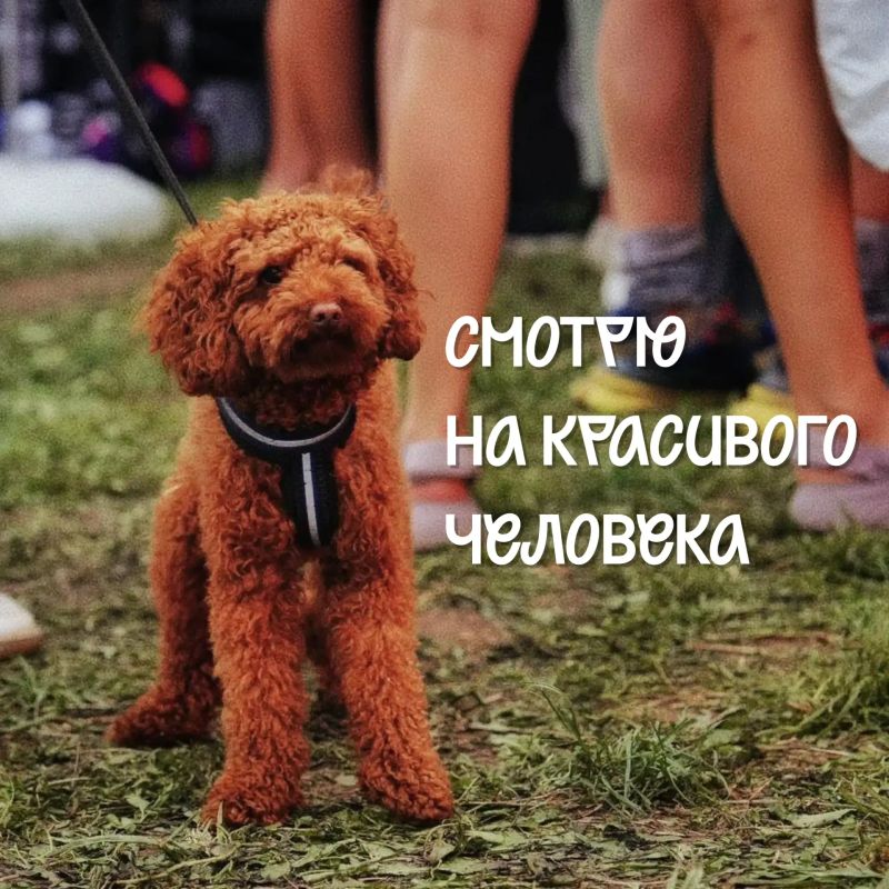Сегодня — Международный день дружбы Сегодня — Международный день дружбы