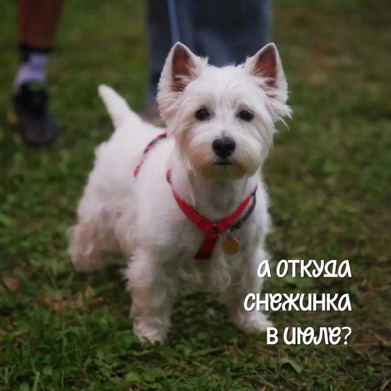 Сегодня — Международный день дружбы Сегодня — Международный день дружбы