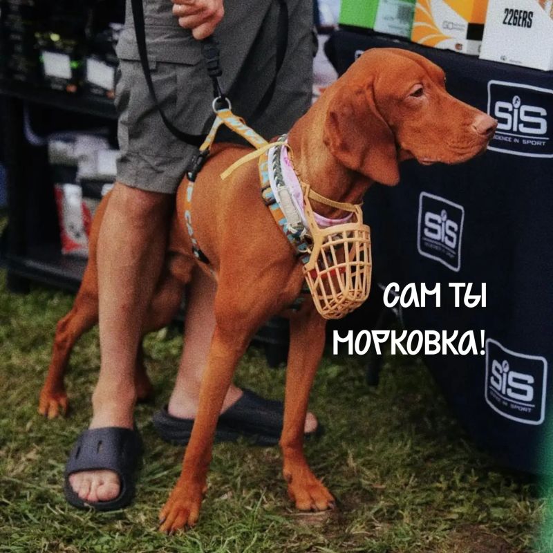 Сегодня — Международный день дружбы Сегодня — Международный день дружбы