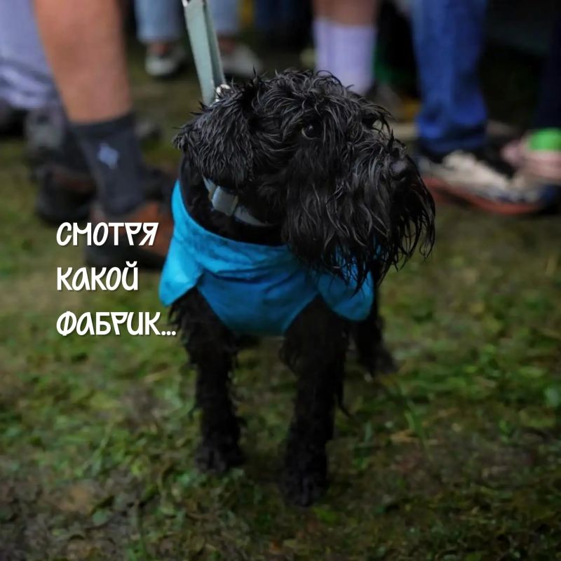 Сегодня — Международный день дружбы Сегодня — Международный день дружбы