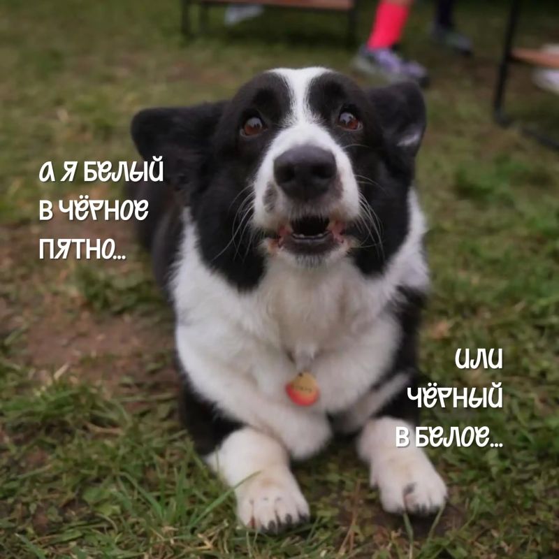 Сегодня — Международный день дружбы Сегодня — Международный день дружбы