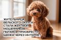 � ������� ������ ������� � ���������� � ������������� ���������� 54-������ ������� ����������
