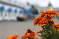 Доброе утро!. Что нас ждёт сегодня, 2 августа: Ночью: +13...+18°, местами дожди, грозы, туман