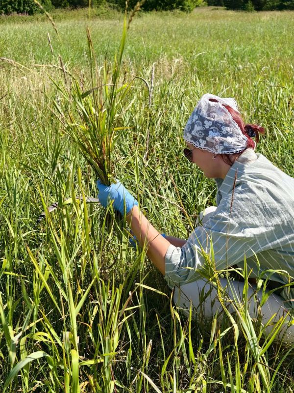 Севгидромет проверил радиационный фон вокруг Северодвинска Севгидромет проверил радиационный фон вокруг Северодвинска