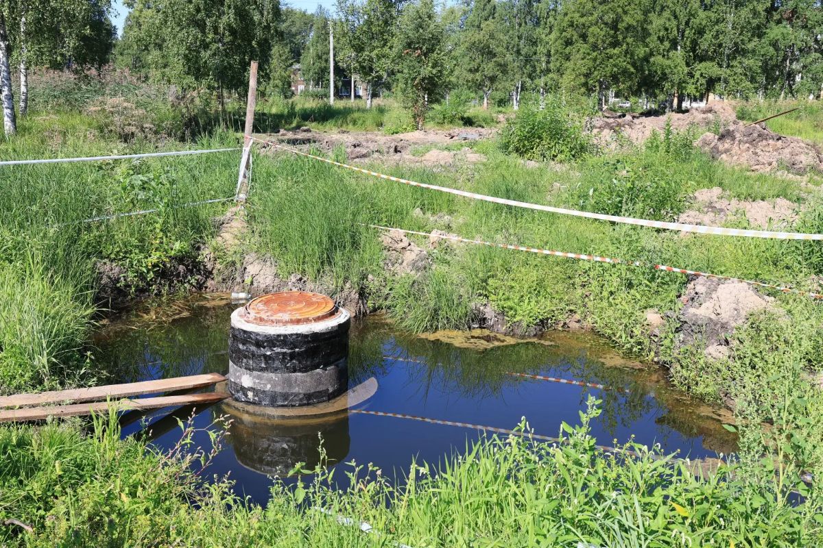 Дмитрий Морев поручил усилить контроль за подрядчиком в парке Ломоносова Дмитрий Морев поручил усилить контроль за подрядчиком в парке Ломоносова