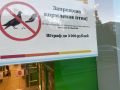 Кормить голубей запрещено? Штраф — 3000 рублей!