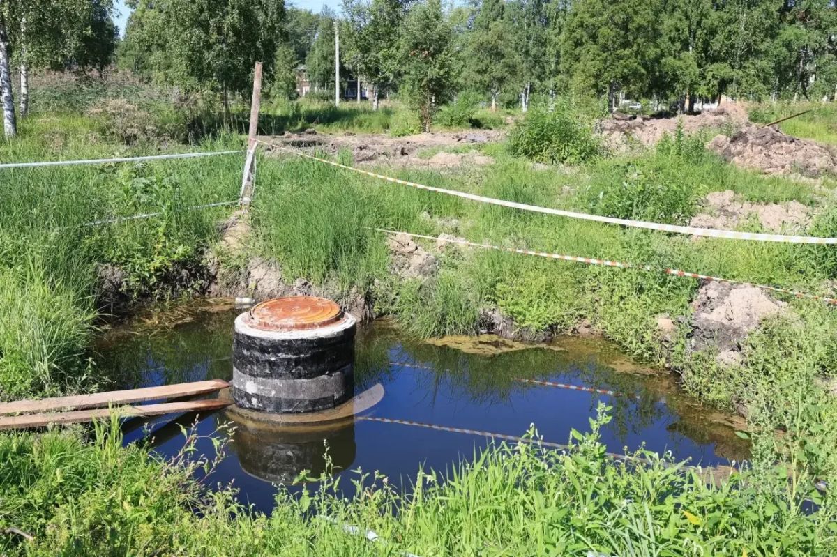Главный объект благоустройства в этом году – парк Ломоносова Главный объект благоустройства в этом году – парк Ломоносова