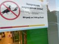 Кормить голубей запрещено? Штраф — 3000 рублей!