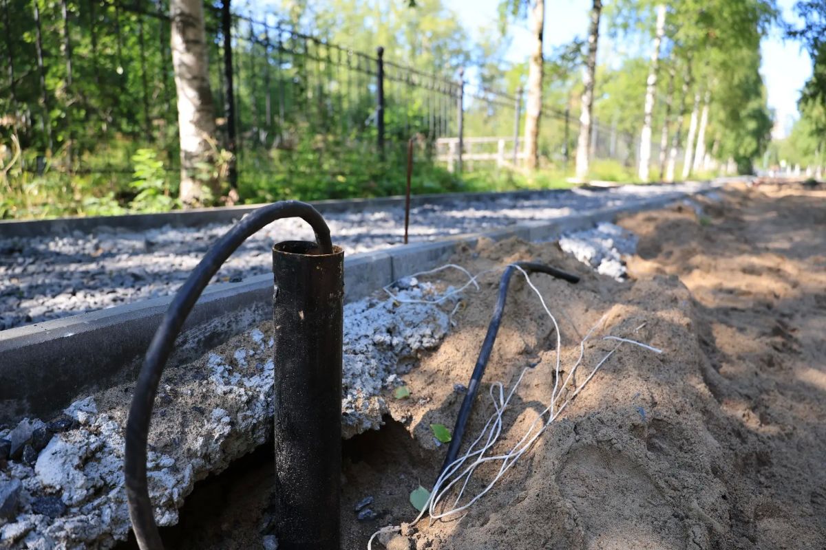 Дмитрий Морев поручил усилить контроль за подрядчиком в парке Ломоносова Дмитрий Морев поручил усилить контроль за подрядчиком в парке Ломоносова