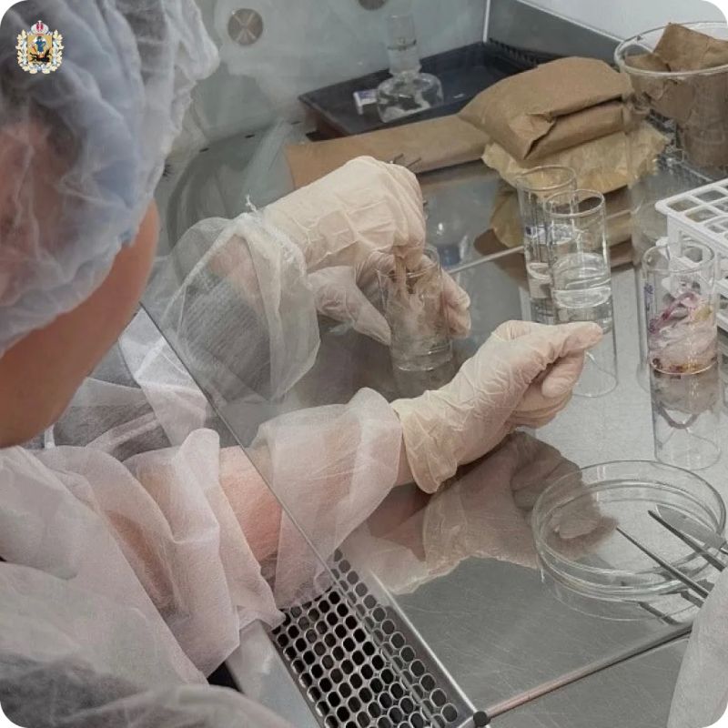 До 2030 года в Архангельской области создадут 28 профильных агротехнологических классов До 2030 года в Архангельской области создадут 28 профильных агротехнологических классов