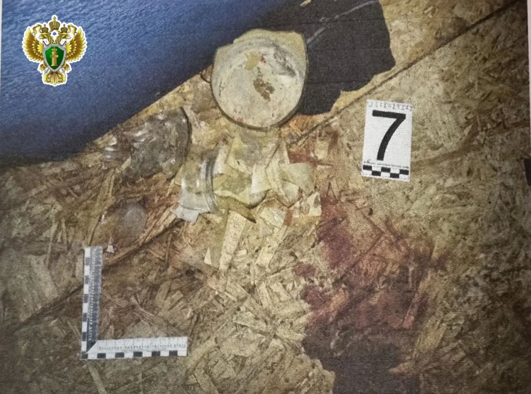 В Архангельске вынесен приговор за убийство, совершенное с особой жестокостью В Архангельске вынесен приговор за убийство, совершенное с особой жестокостью