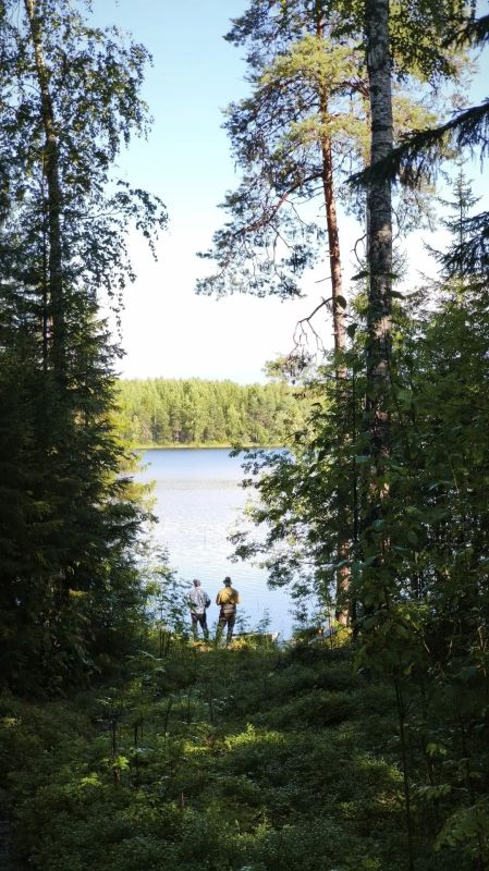 Три дня в лесу: мужчина самостоятельно вышел к людям Три дня в лесу: мужчина самостоятельно вышел к людям