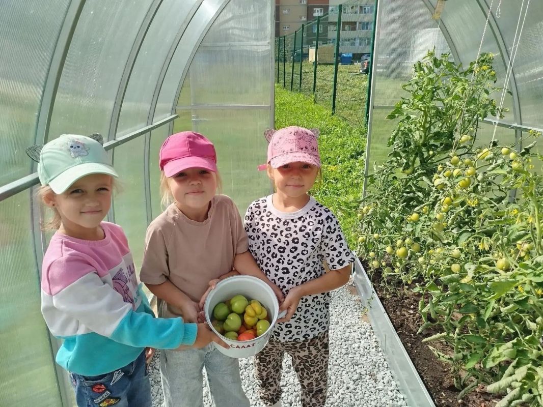 В детских садах собирают первый урожай! В детских садах собирают первый урожай!