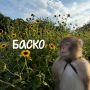 «Красота... очень важная штука!
