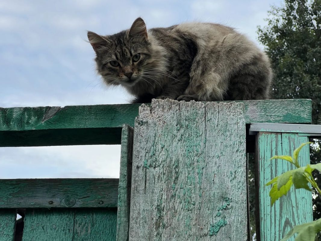 Доброе утро, регион!. На календаре 10 августа — понедельник