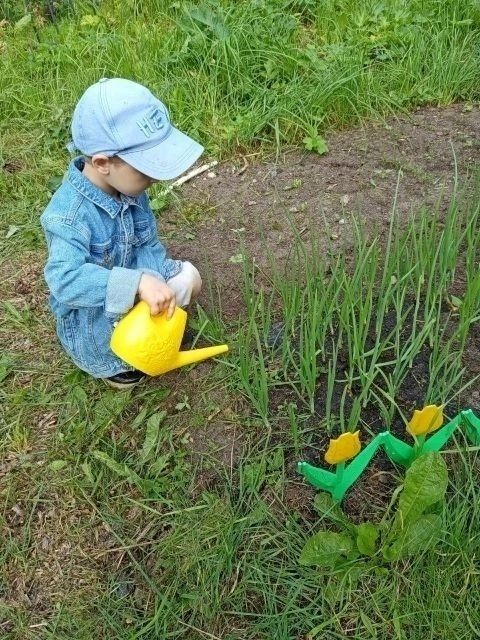 В детских садах собирают первый урожай! В детских садах собирают первый урожай!