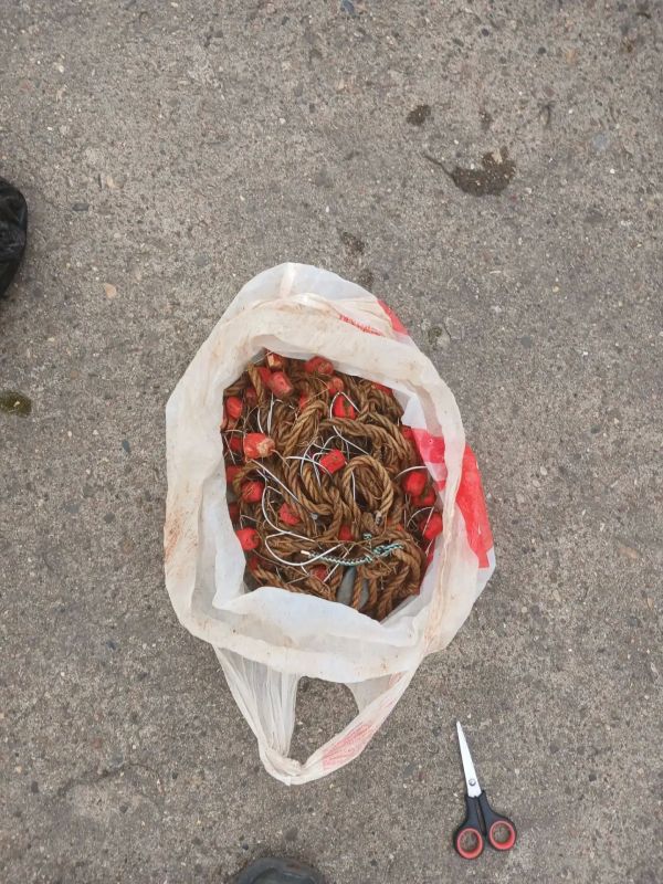 В Архангельской области сотрудниками транспортной полиции выявлен факт незаконного вылова рыбы В Архангельской области сотрудниками транспортной полиции выявлен факт незаконного вылова рыбы