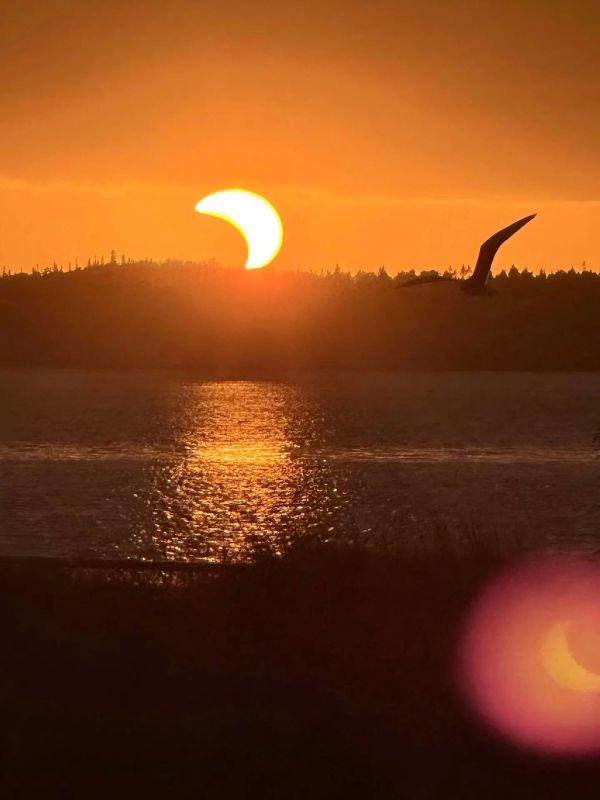 СОЛНЕЧНОЕ ЗАТМЕНИЕ НА СОЛОВКАХ СОЛНЕЧНОЕ ЗАТМЕНИЕ НА СОЛОВКАХ