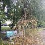 После ночного шторма в Архангельске устраняют последствия